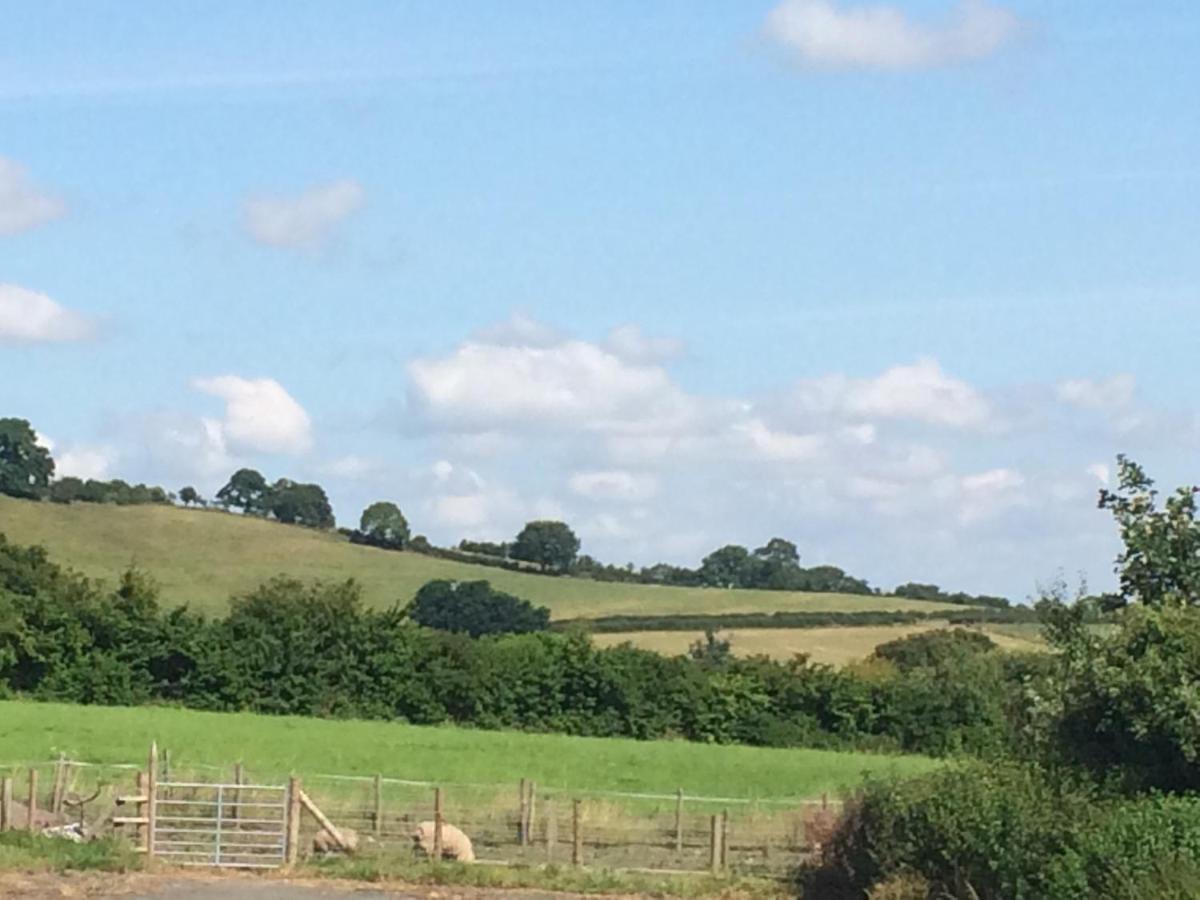 White Horse Inn Pulverbatch Church Pulverbatch Luaran gambar