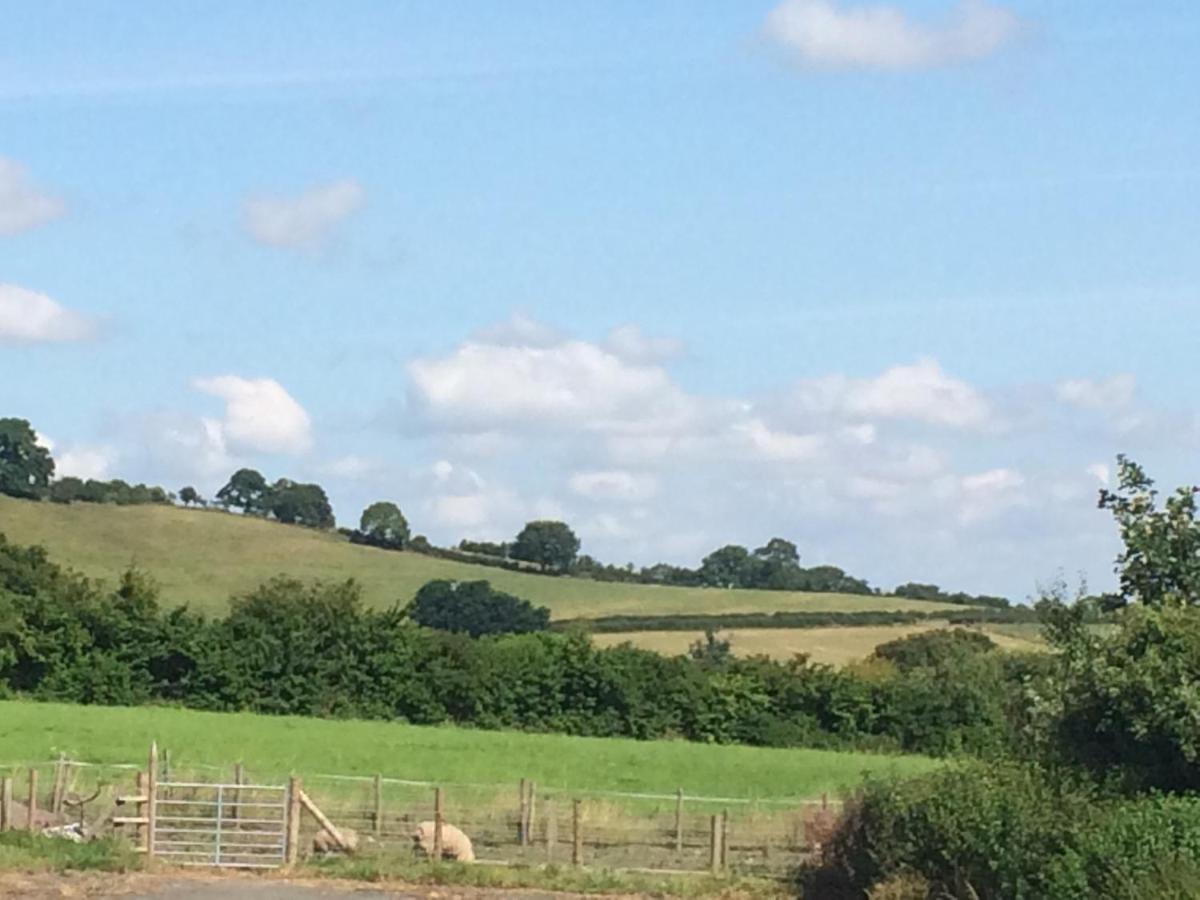 White Horse Inn Pulverbatch Shrewsbury Luaran gambar